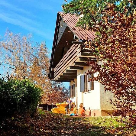 예세니체 Pet & Family Friendly House Viktorija - House Near Golica With Triglav View 빌라 외부 사진