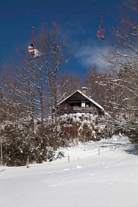 예세니체 Pet & Family Friendly House Viktorija - House Near Golica With Triglav View 빌라 외부 사진