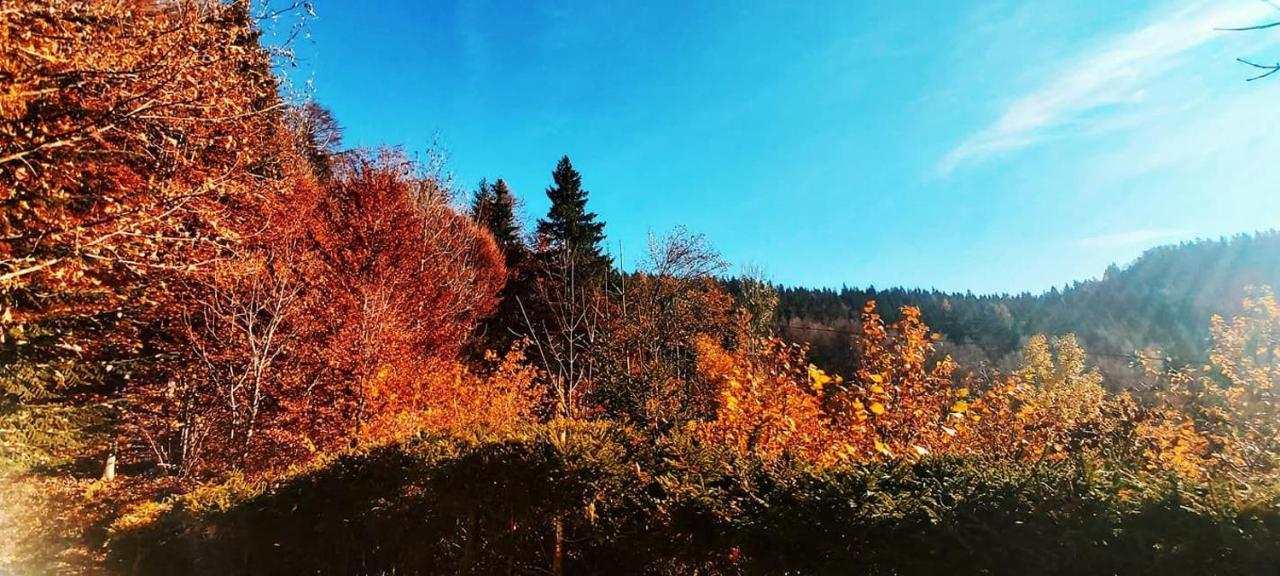 예세니체 Pet & Family Friendly House Viktorija - House Near Golica With Triglav View 빌라 외부 사진