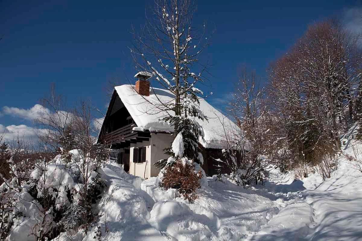 예세니체 Pet & Family Friendly House Viktorija - House Near Golica With Triglav View 빌라 외부 사진
